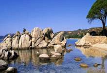 关键时刻亚冠传出新动向，利物浦战术微调，管理层表态——信心回归，临场指挥获称赞的简单介绍